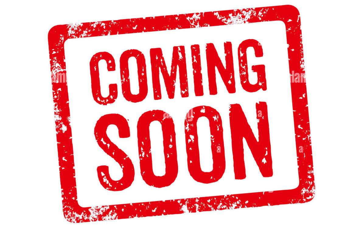 Pet Bandana ~ Sports