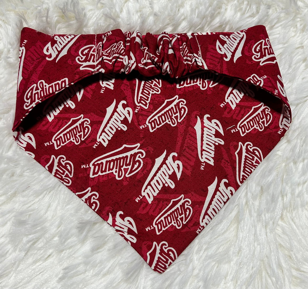 Indiana University Scrunchie Pet Bandana