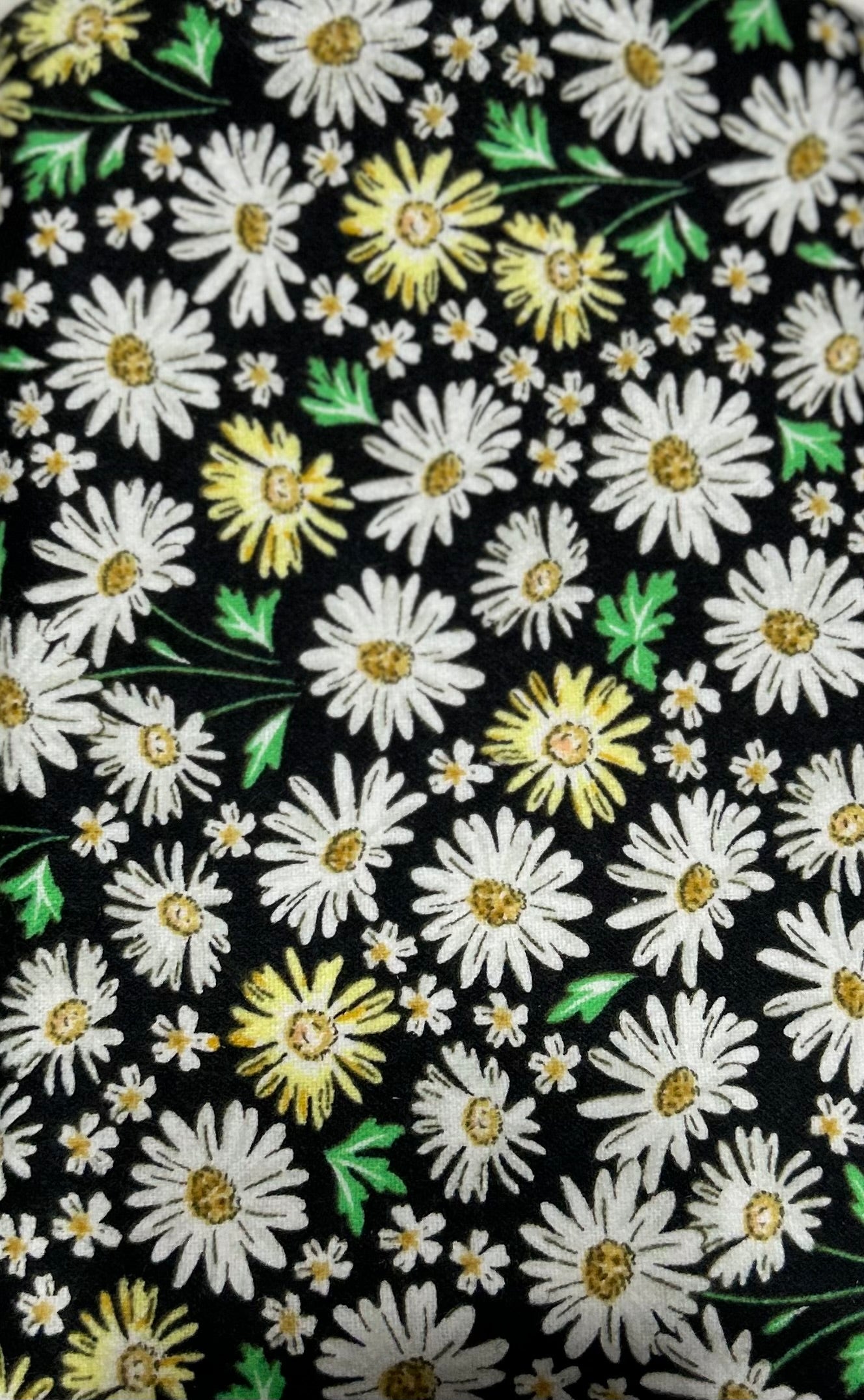 Daisy on Black Book Sleeve