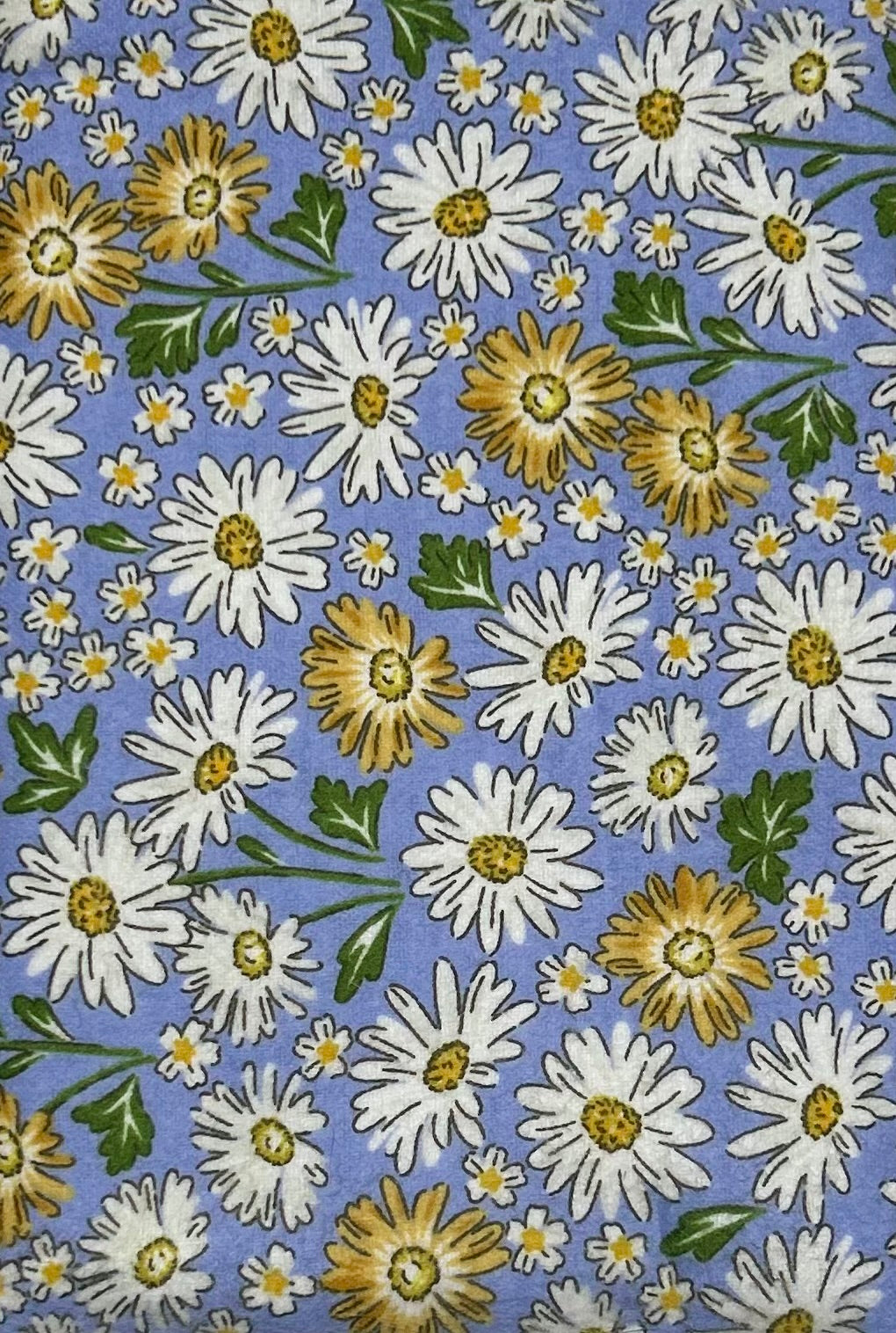 Daisy on Blue Book Sleeve