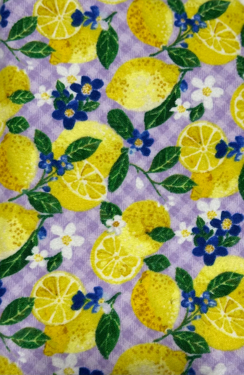 Lemons Book Sleeve