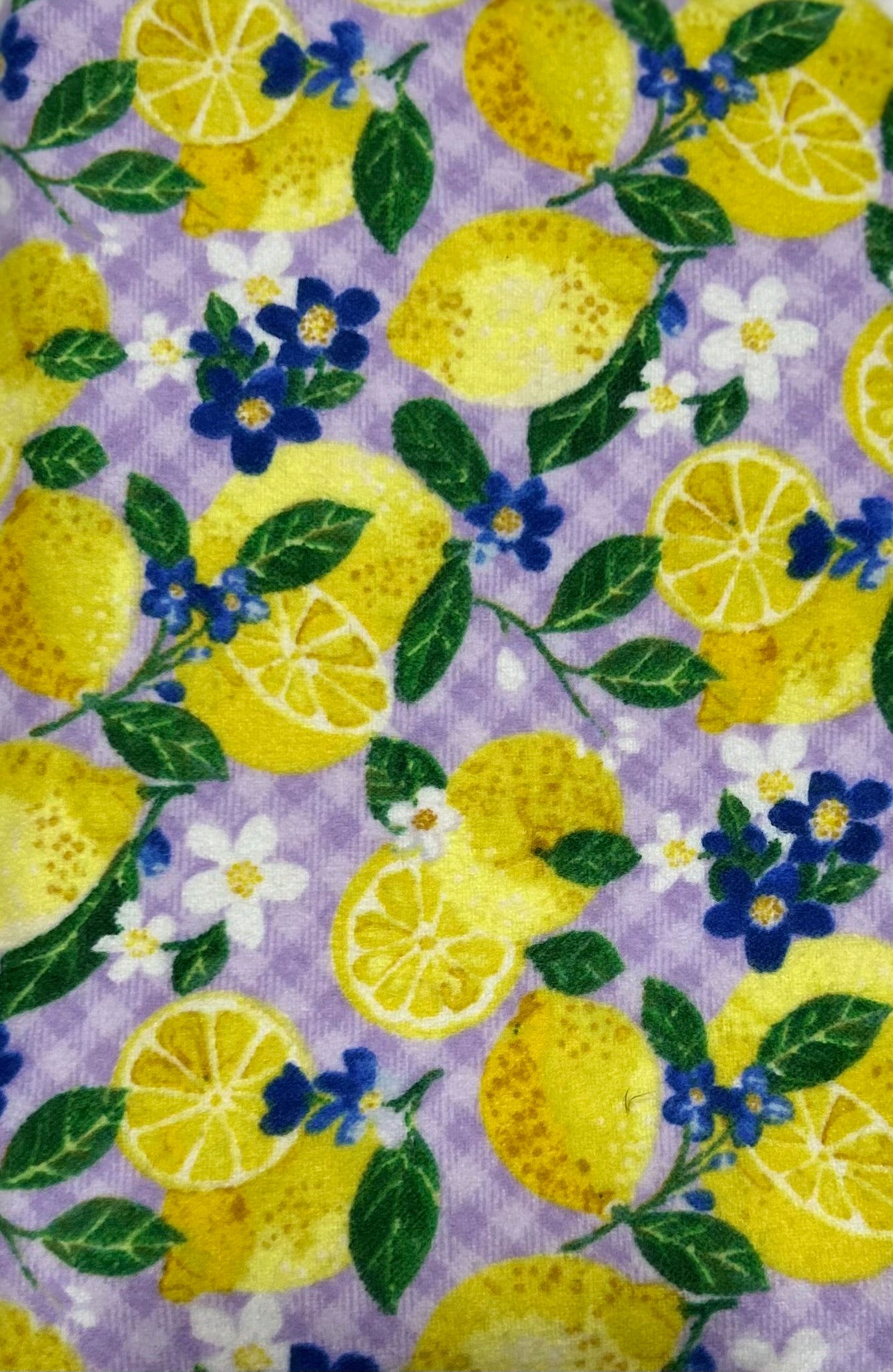 Lemons Book Sleeve