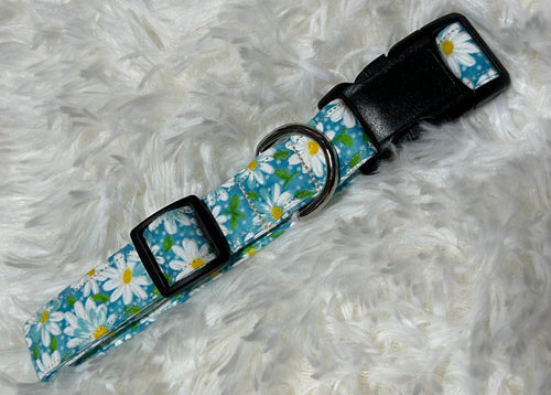 Aqua Blue Daisy Pet Collars
