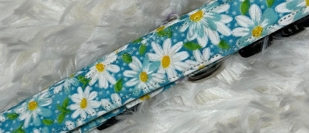 Aqua Blue Daisy Pet Collars