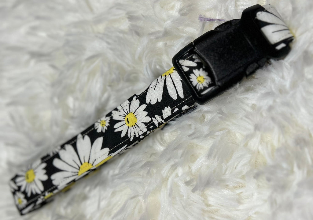Daisy with Black Pet Collars