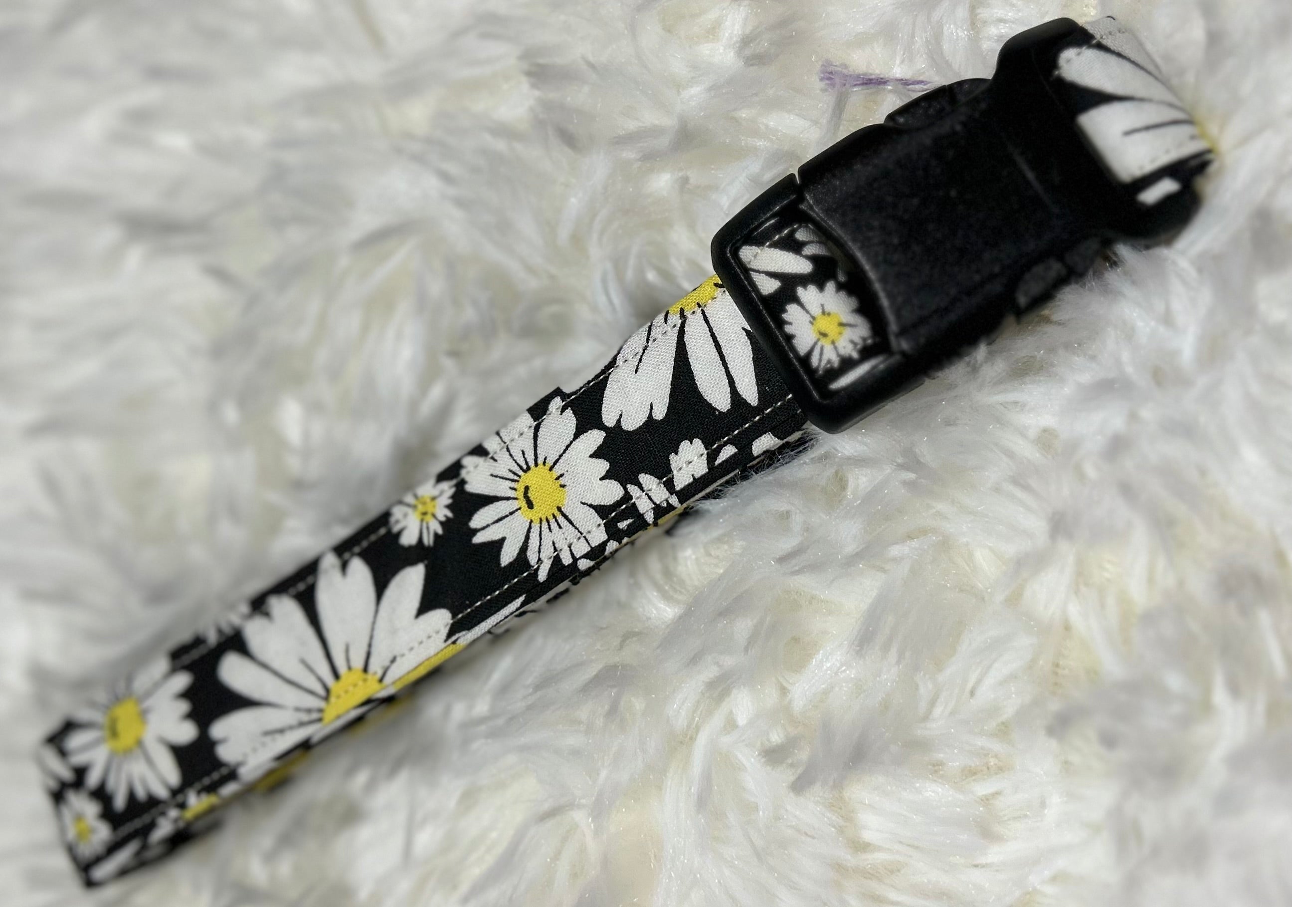 Daisy with Black Pet Collars