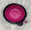 Silicone Pet Bowl