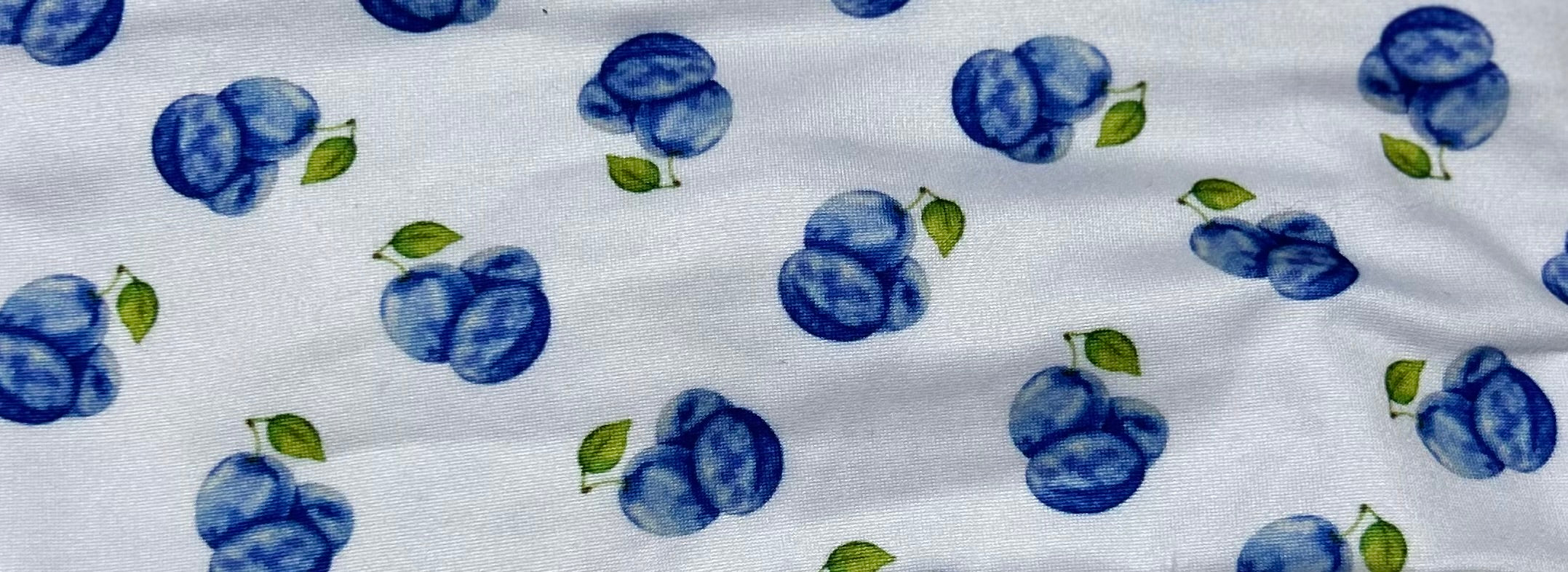 Blueberry 1 Headband