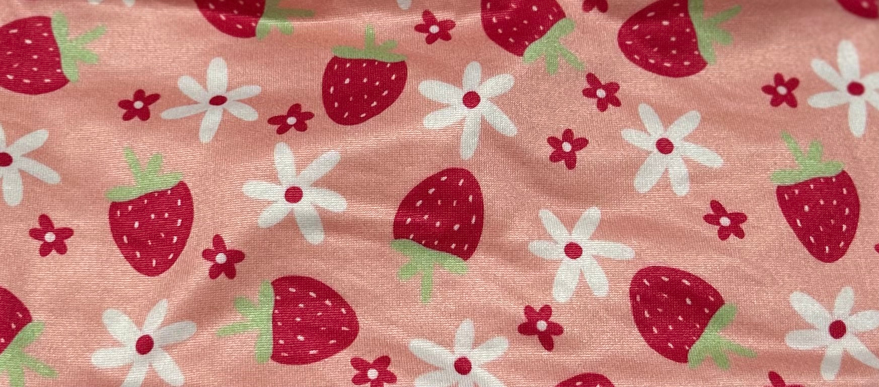 Strawberries with Flowers Headband